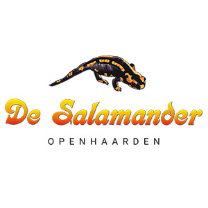 logo-De-Salamander-Openhaarden-def